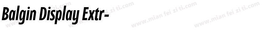 Balgin Display Extr字体转换